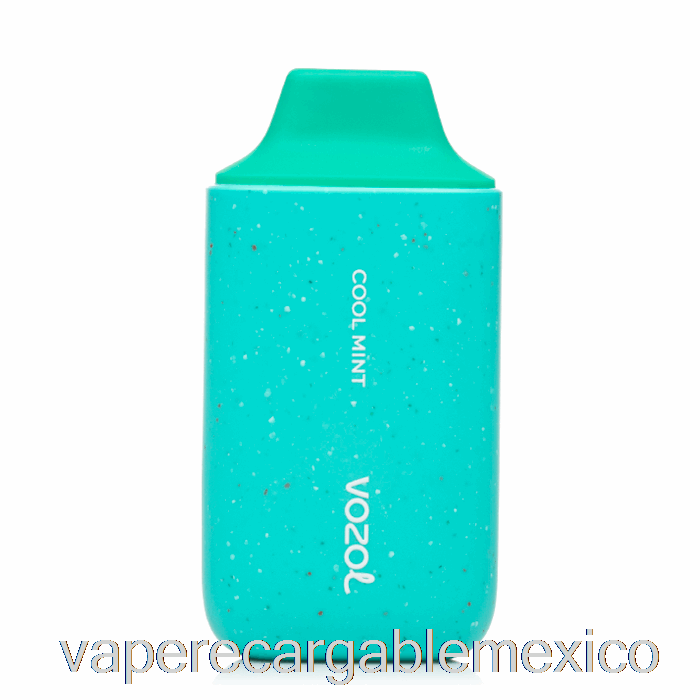 Vape Recargable Vozol Star 6000 Desechable Menta Fresca